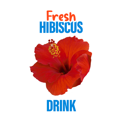 National Hibiscus Drink  1L - مشروب كركديه طبيعي